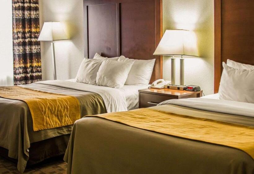 스탠다드 룸, Comfort Inn