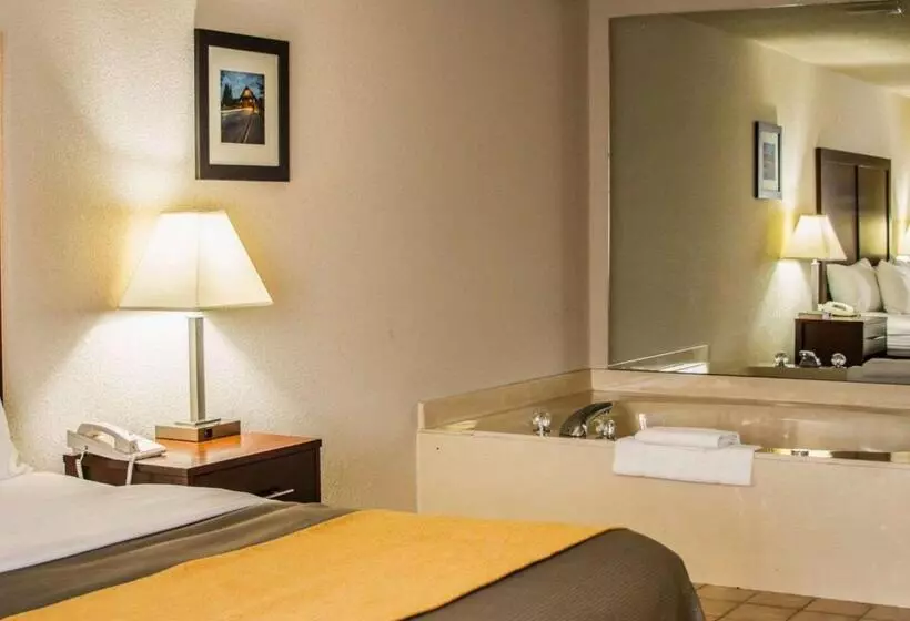 キングサイズベッドのスイートルーム, Comfort Inn