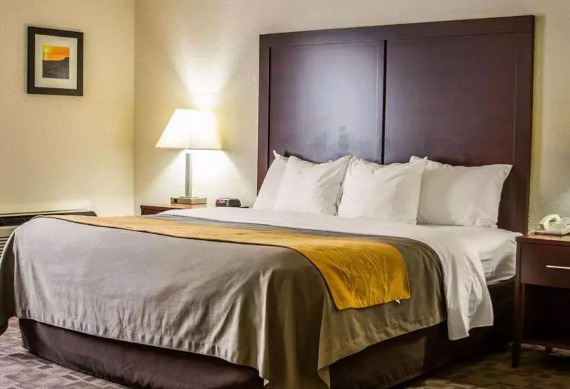 キングサイズベッドのスイートルーム, Comfort Inn
