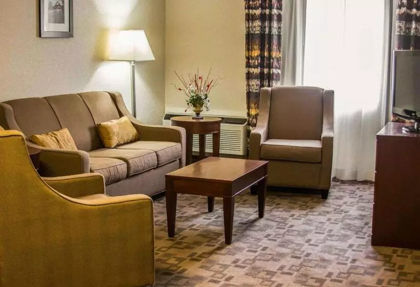 キングサイズベッドのスイートルーム, Comfort Inn