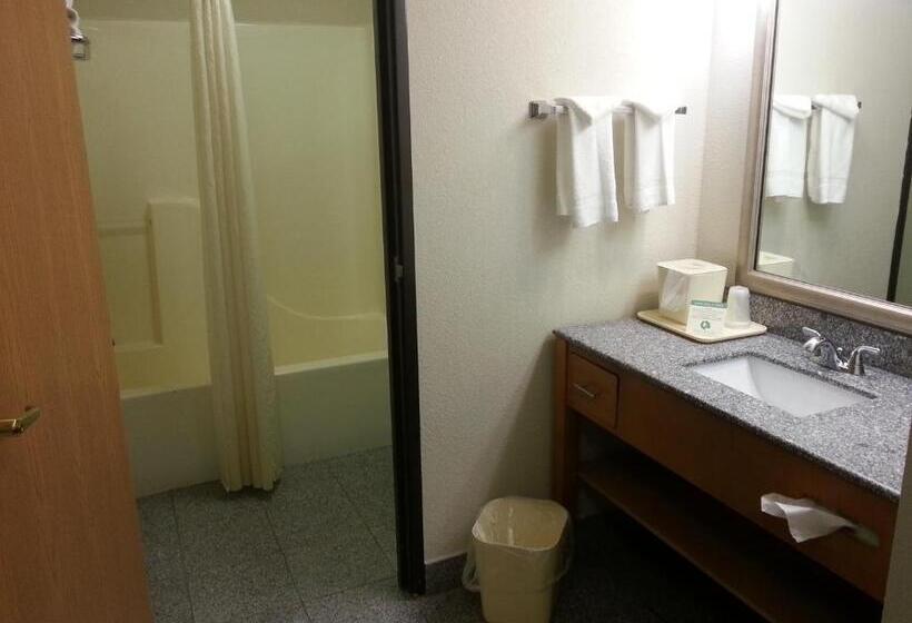 غرفة قياسية سرير كينج, Comfort Inn