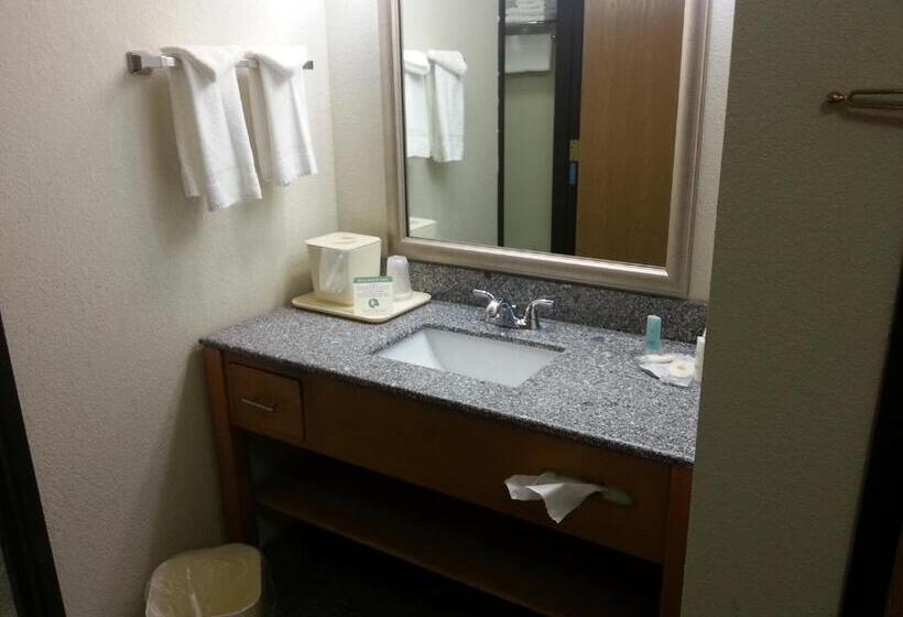 キングサイズベッドのスタンダードルーム, Comfort Inn