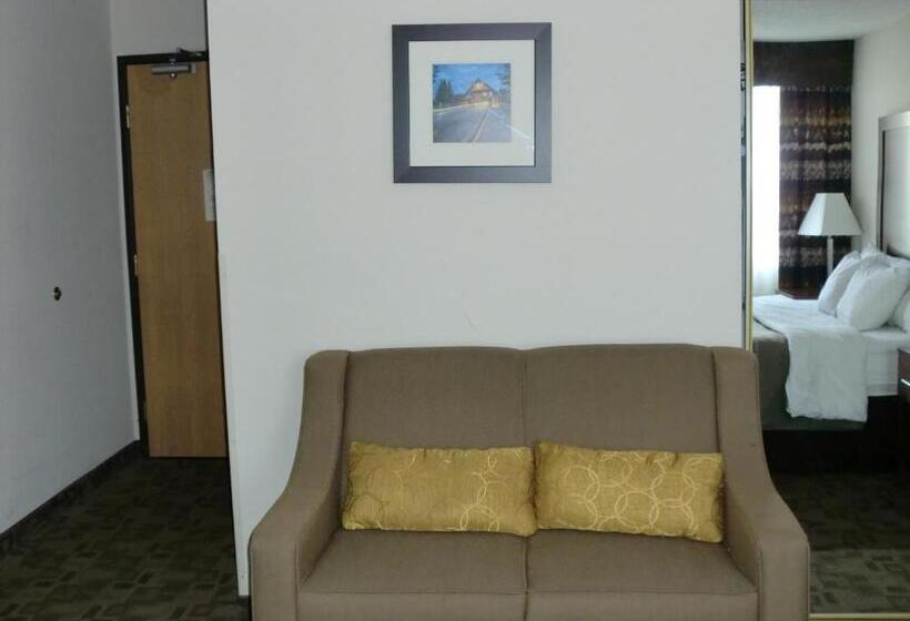 غرفة قياسية سرير كينج, Comfort Inn