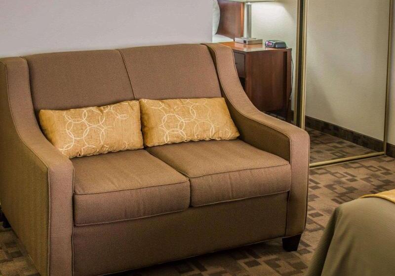 غرفة قياسية سرير كينج لذوى الإحتياجات الخاصة, Comfort Inn