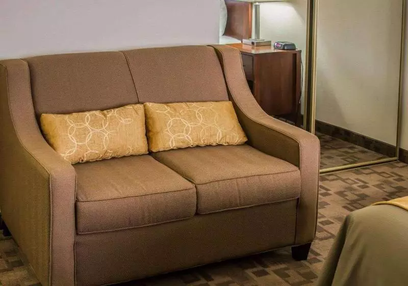 身障者適用キングサイズベッドルーム, Comfort Inn