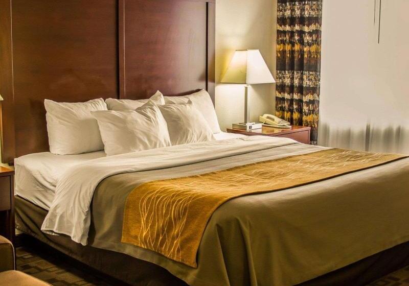 غرفة قياسية سرير كينج لذوى الإحتياجات الخاصة, Comfort Inn