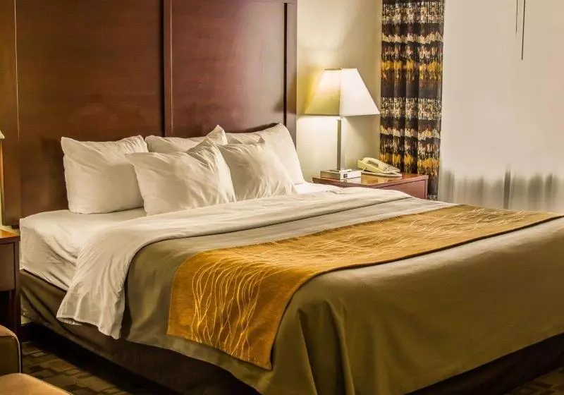 身障者適用キングサイズベッドルーム, Comfort Inn