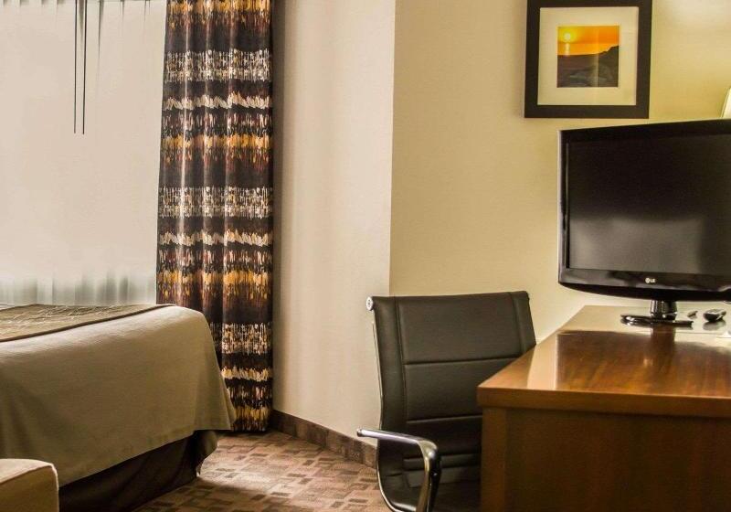 身障者適用キングサイズベッドルーム, Comfort Inn