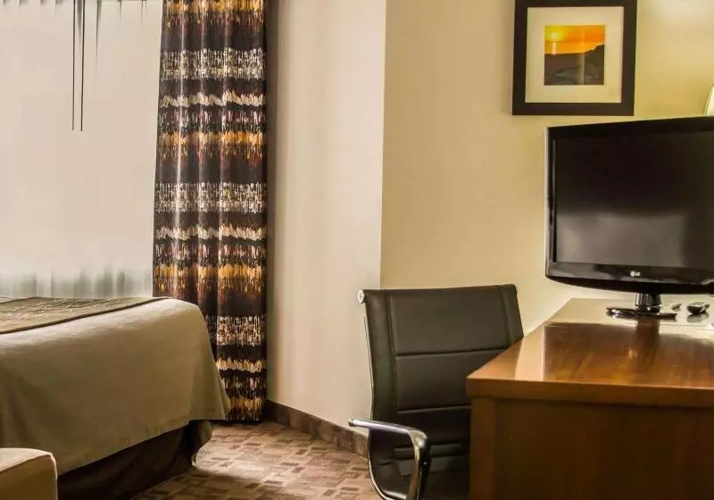身障者適用キングサイズベッドルーム, Comfort Inn