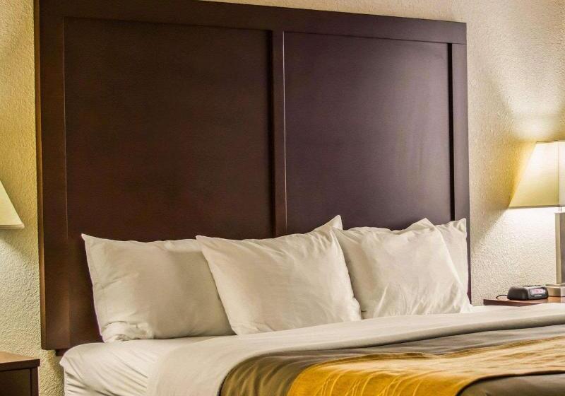 غرفة قياسية سرير كينج لذوى الإحتياجات الخاصة, Comfort Inn