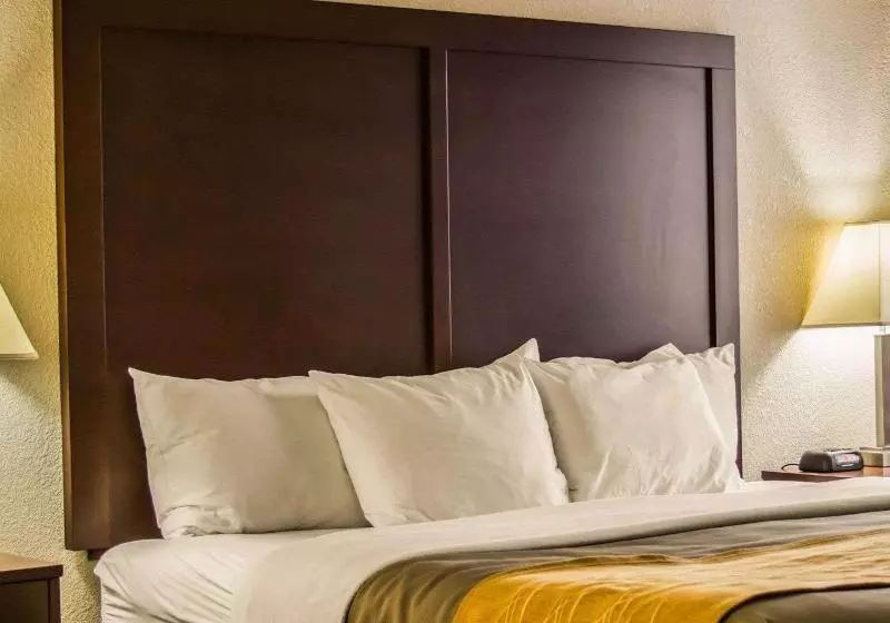 身障者適用キングサイズベッドルーム, Comfort Inn
