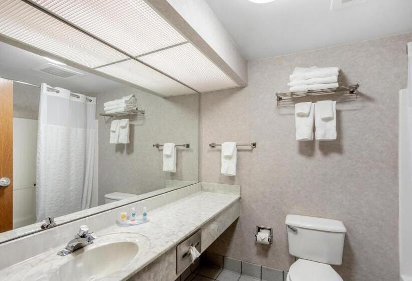 Стандартный Номер Кровать Кинг, Comfort Inn