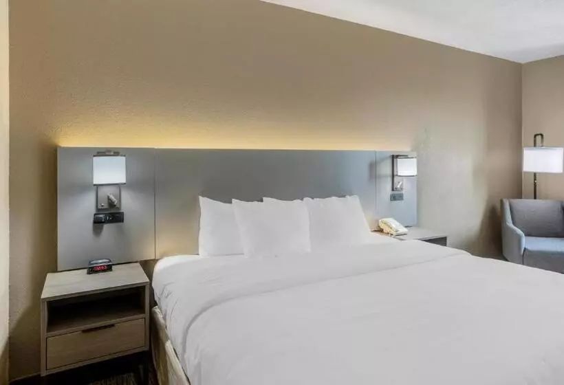 キングサイズベッドのスタンダードルーム, Comfort Inn