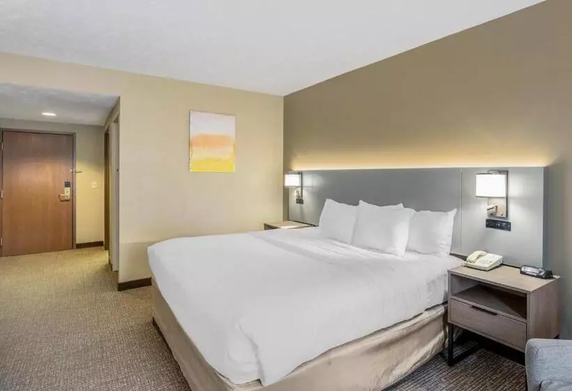 キングサイズベッドのスタンダードルーム, Comfort Inn