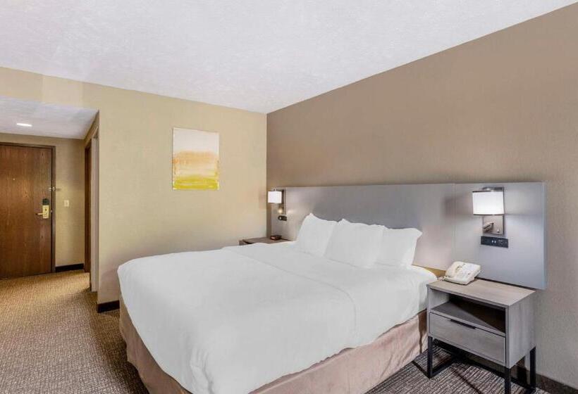 Стандартный Номер Кровать Кинг, Comfort Inn