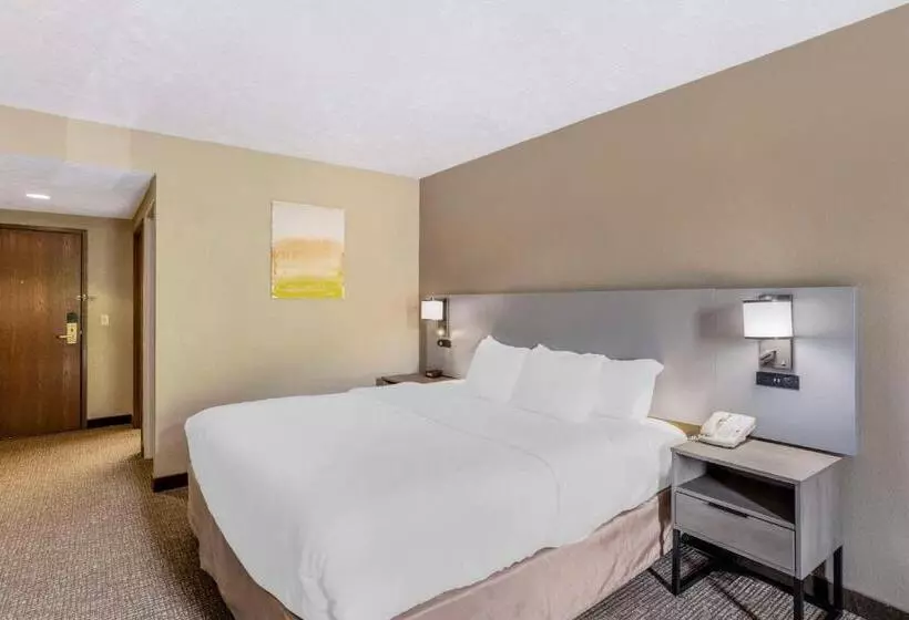 キングサイズベッドのスタンダードルーム, Comfort Inn
