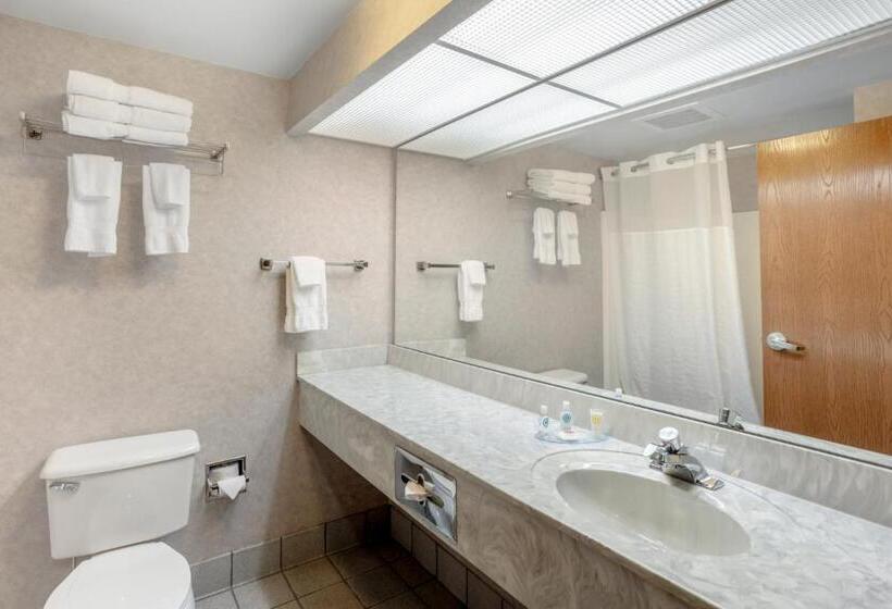 Номер Стандарт, Comfort Inn