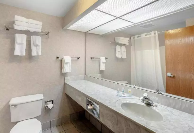 スタンダードルーム, Comfort Inn