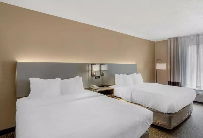スタンダードルーム, Comfort Inn