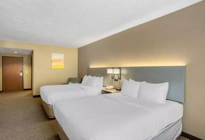 スタンダードルーム, Comfort Inn