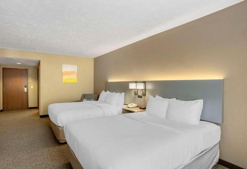 Номер Стандарт, Comfort Inn