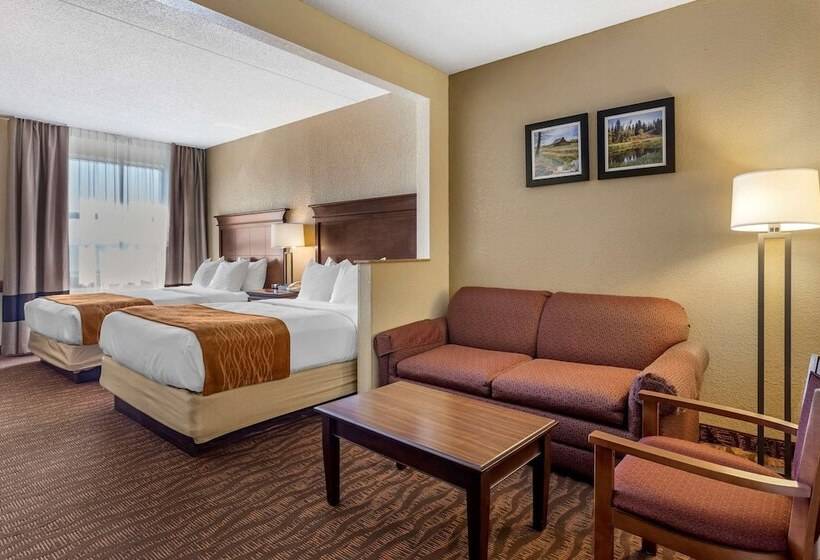 جناح, Comfort Inn & Suites Branson Meadows