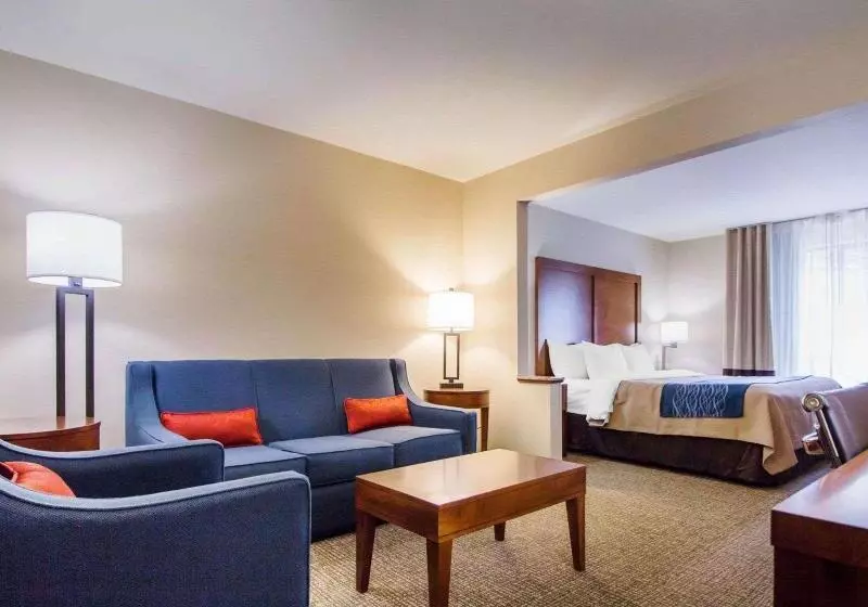 キングサイズベッドのスイートルーム, Comfort Inn & Suites Deadwood