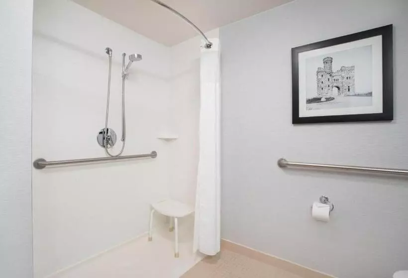 اتاق استاندارد با تخت بزرگ برای معلولان, Courtyard Worcester