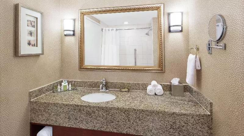 キングサイズベッドのスタンダードルーム, Doubletree By Hilton  Sunrise  Sawgrass Mills