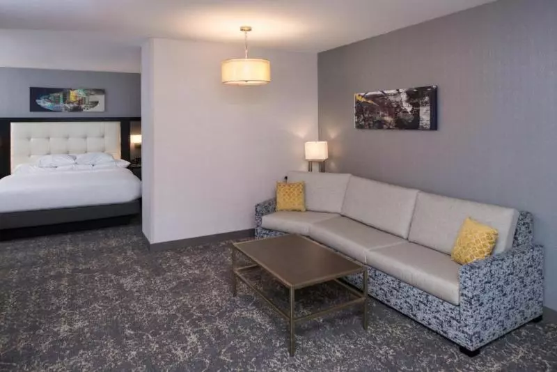 استودیو استاندارد با تخت کینگ, Doubletree By Hilton Utica