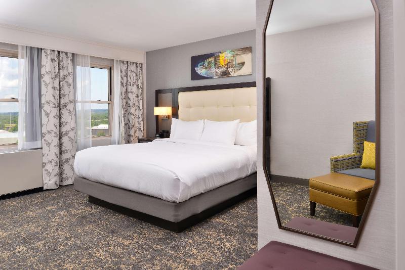 غرفة قياسية سرير كينج, Doubletree By Hilton Utica