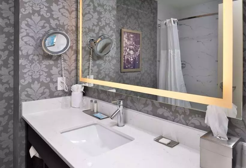 استودیوی استاندارد با تخت دوبل, Doubletree By Hilton Utica