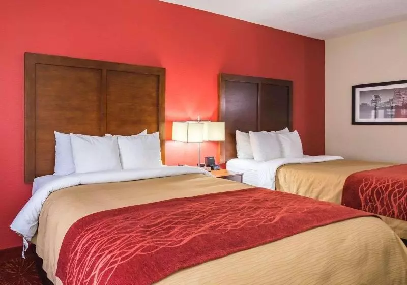 キングサイズベッドのスタンダードルーム, Econo Lodge Inn & Suites East Houston I10
