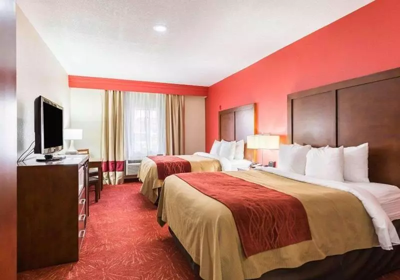 キングサイズベッドのスタンダードルーム, Econo Lodge Inn & Suites East Houston I10