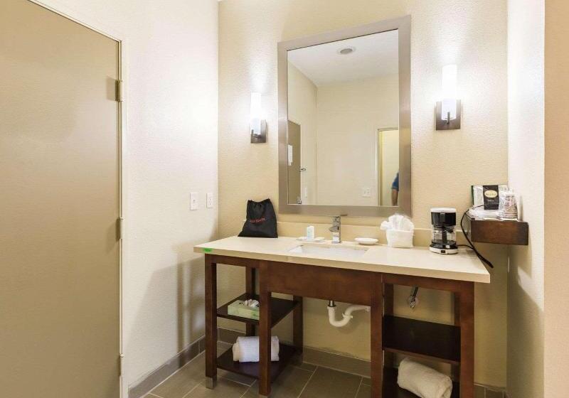 חדר סטנדרט עם מיטת קינג, Econo Lodge Inn & Suites East Houston I10