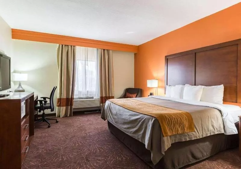 キングサイズベッドのスタンダードルーム, Econo Lodge Inn & Suites East Houston I10