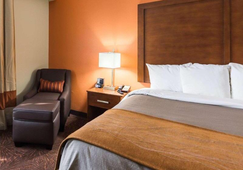 חדר סטנדרט עם מיטת קינג, Econo Lodge Inn & Suites East Houston I10