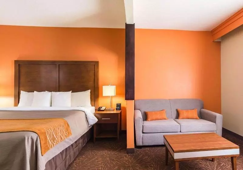 キングサイズベッドのスイートルーム, Econo Lodge Inn & Suites East Houston I10