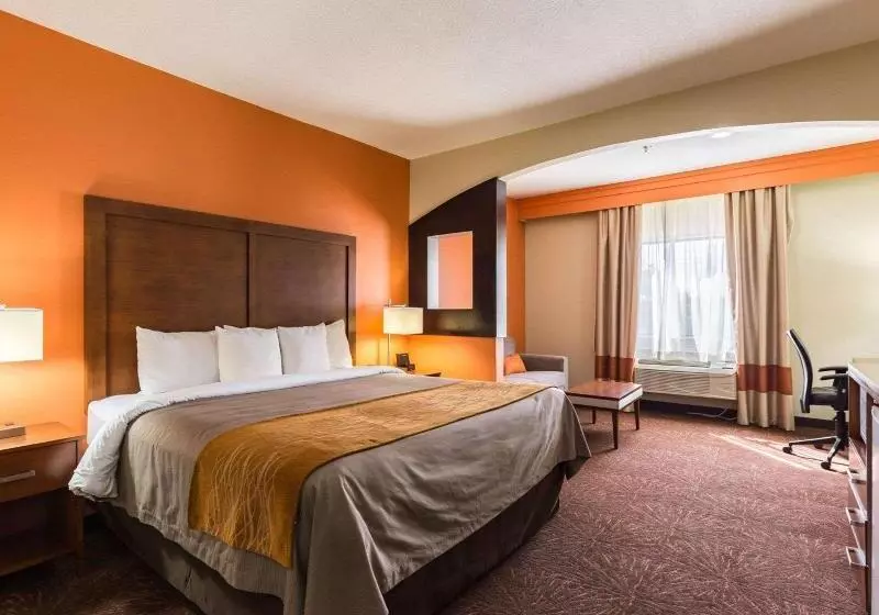 キングサイズベッドのスイートルーム, Econo Lodge Inn & Suites East Houston I10
