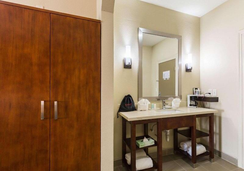 מיטת קינג בסוויטה, Econo Lodge Inn & Suites East Houston I10