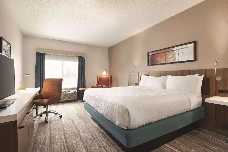 キングサイズベッドのスタンダードルーム, Hilton Garden Inn Fort Wayne