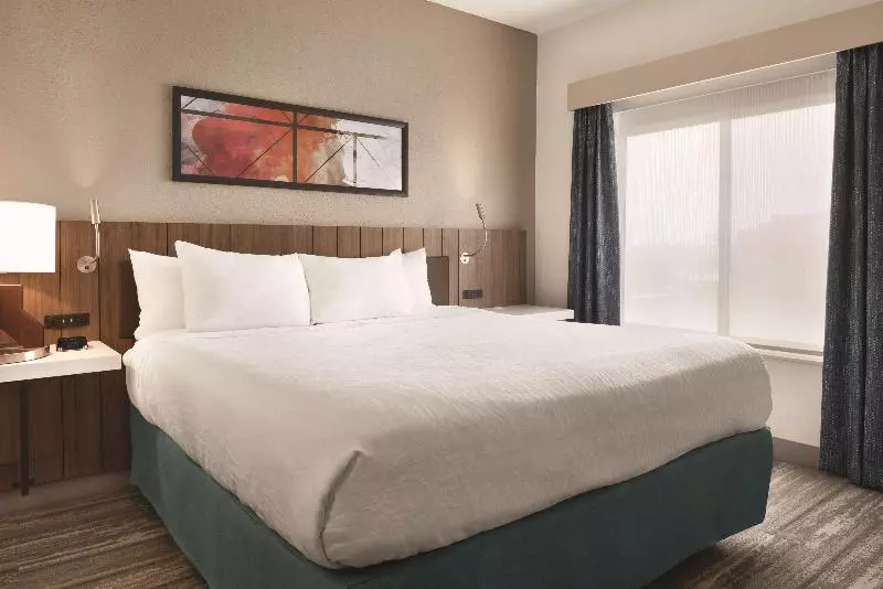 キングサイズベッドのスタンダードルーム, Hilton Garden Inn Fort Wayne