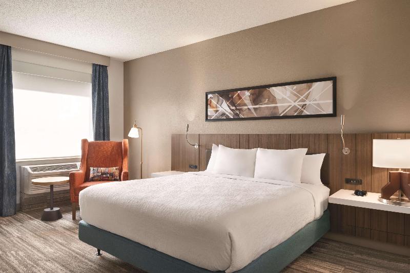 اتاق استاندارد با تخت بزرگ, Hilton Garden Inn Fort Wayne