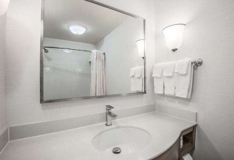 带大床的标准工作室, Hilton Grand Vacations Club Tuscany Village Orlando