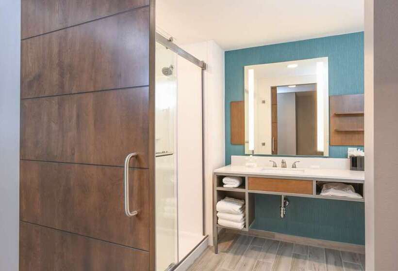 带大床的标准工作室, Hilton Grand Vacations Club Tuscany Village Orlando