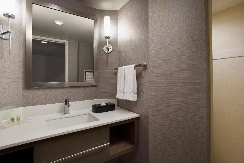 キングサイズベッドのスイートルーム, Holiday Inn Grand Rapids Airport, An Ihg