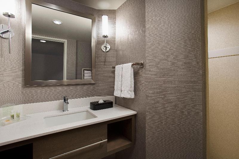 Büyük Çift Kişilik Yataklı Süit, Holiday Inn Grand Rapids Airport, An Ihg