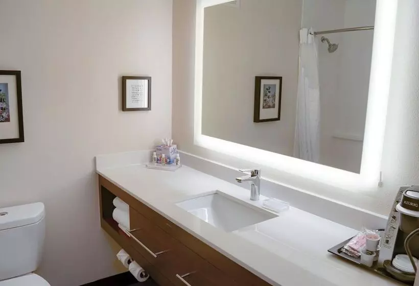 スタンダードルーム, Holiday Inn Mobile West I 10, An Ihg
