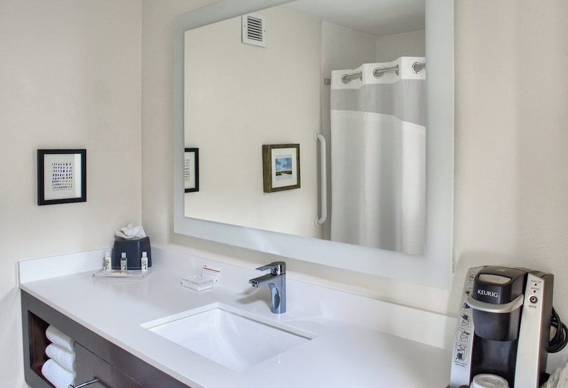 Номер Стандарт 2 Двуспальные Кровати, Holiday Inn Mobile West I 10, An Ihg