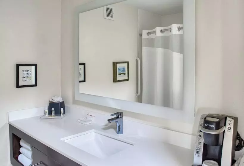 ２ダブルベッドのスタンダードルーム, Holiday Inn Mobile West I 10, An Ihg